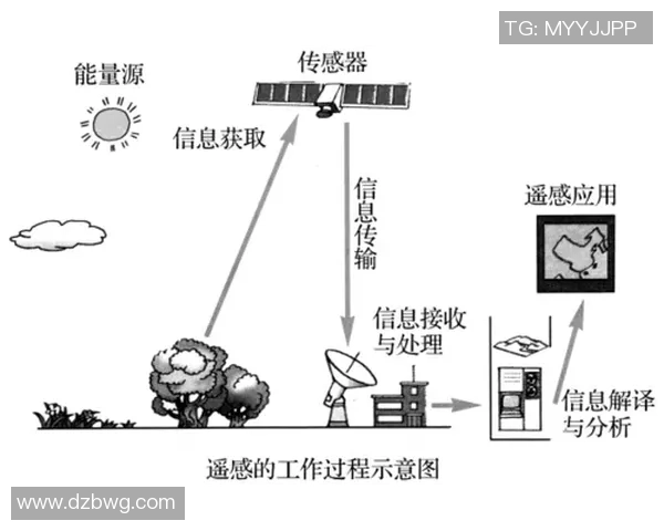 武汉乒乓球队边路渗透战术解析与应用探讨